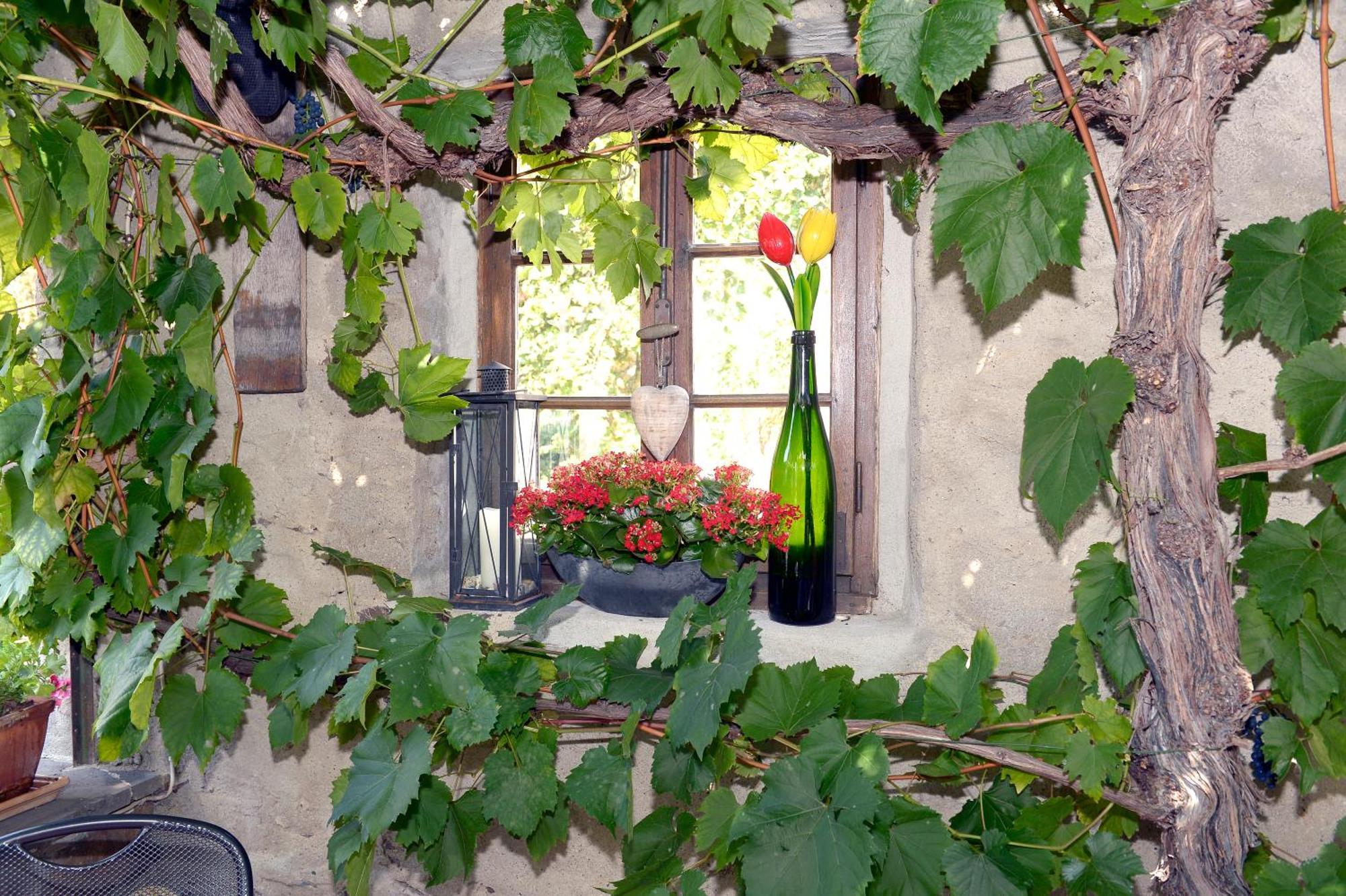 Wein- Und Gaestehaus M. Bai Mesenich Zewnętrze zdjęcie